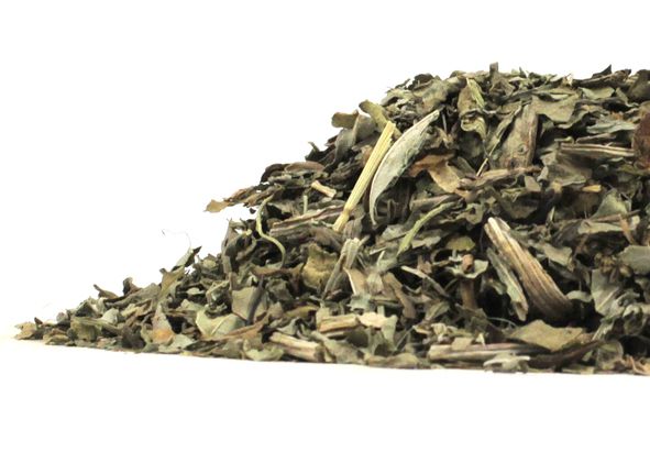 Plantain Leaf