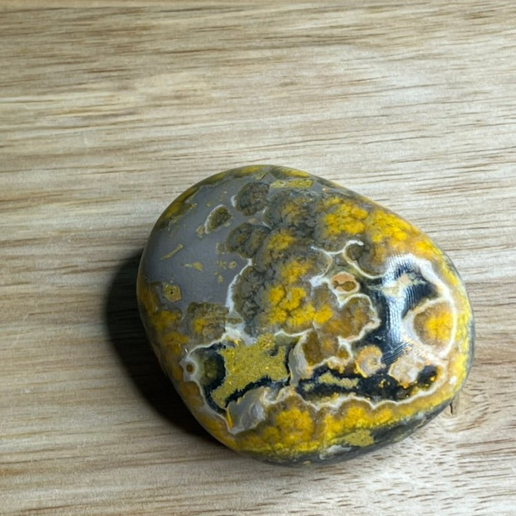 Bumblebee Jasper Freeform - F