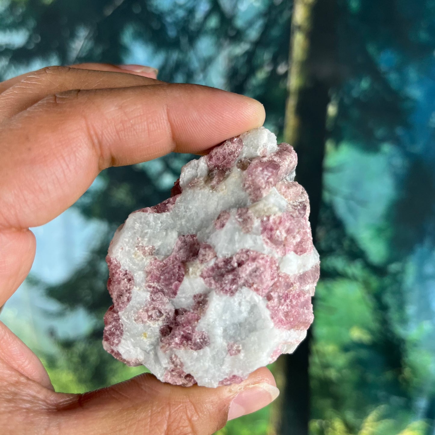 Pink Tourmaline in Quartz - B