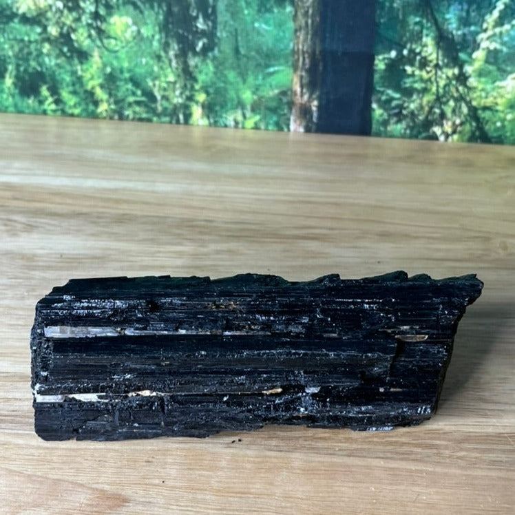 Black Tourmaline - B