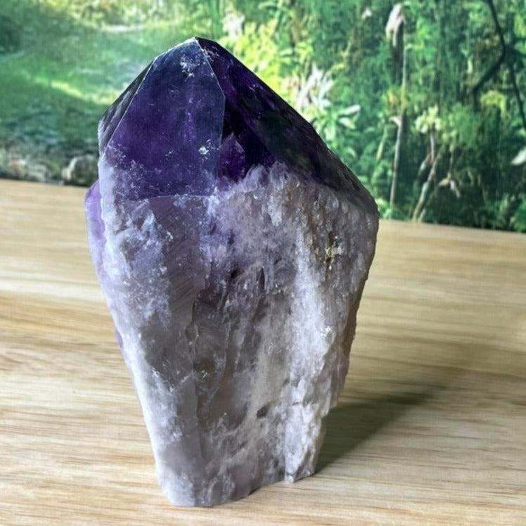 Amethyst Dragontooth Wand - C