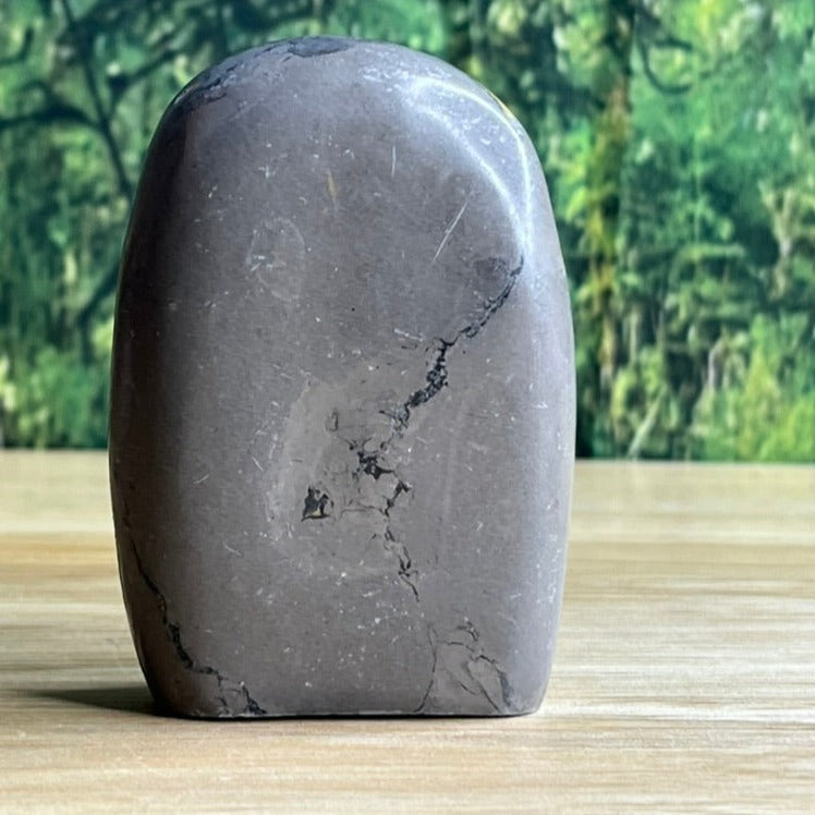 Freestanding Bumblebee Jasper - E