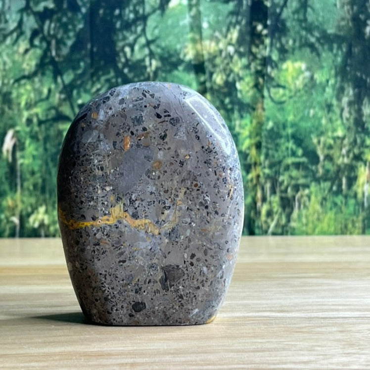 Freestanding Bumblebee Jasper - D