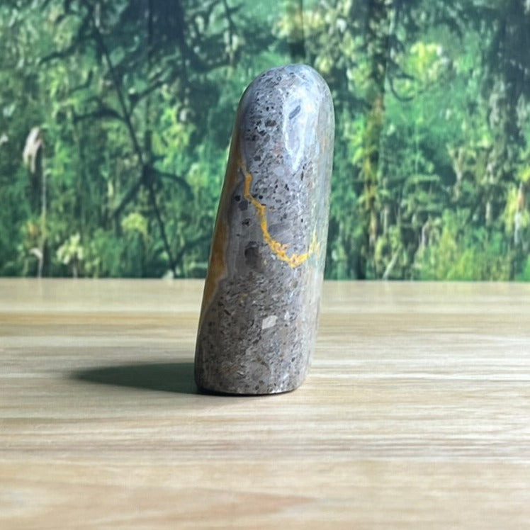 Freestanding Bumblebee Jasper - D