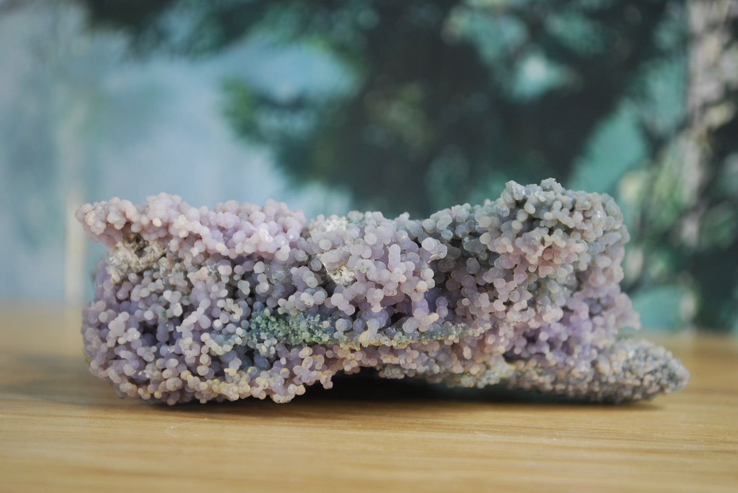 Grape Agate / Botryoidal Purple Chalcedony - D