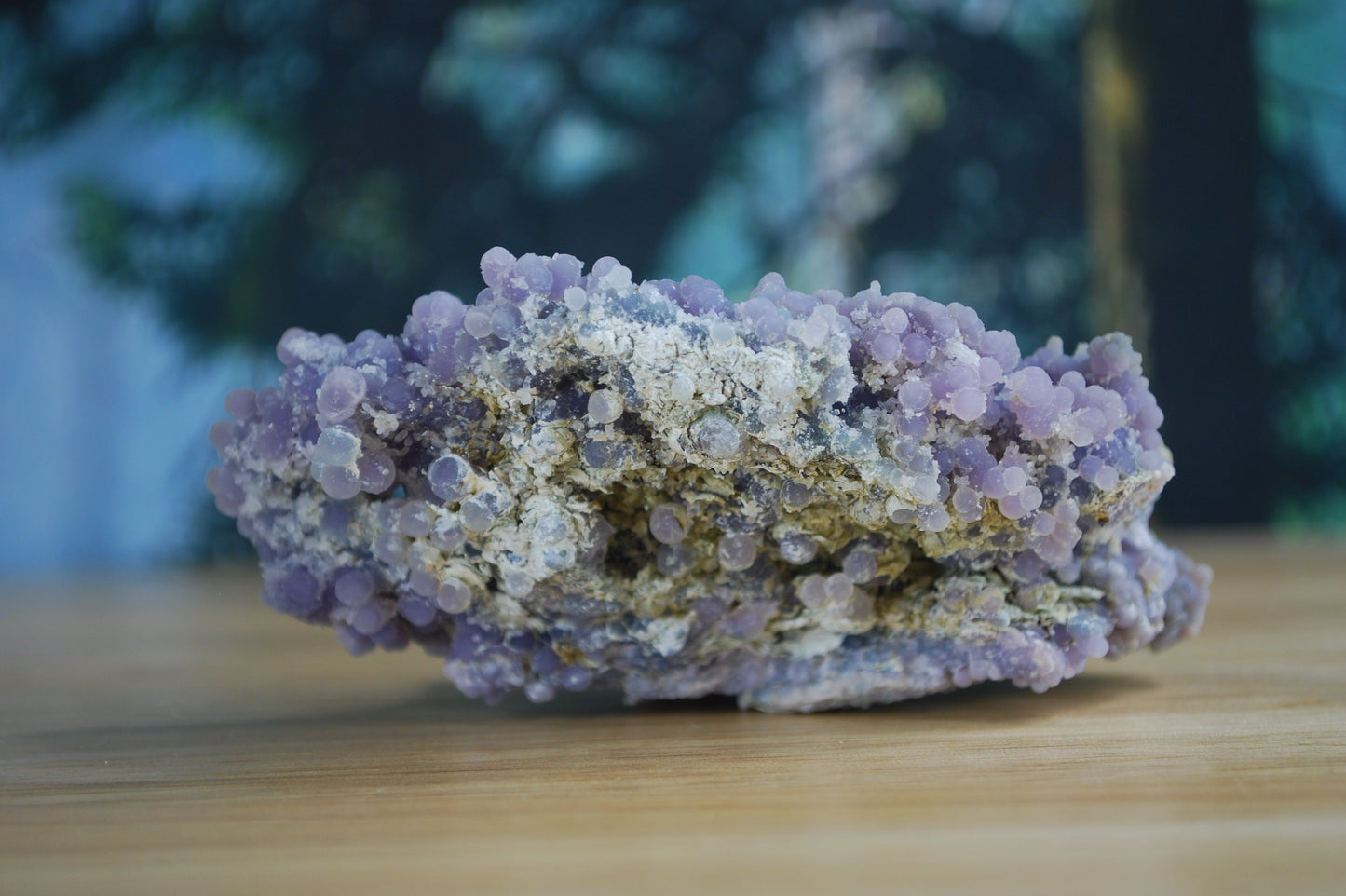 Grape Agate / Botryoidal Purple Chalcedony - F