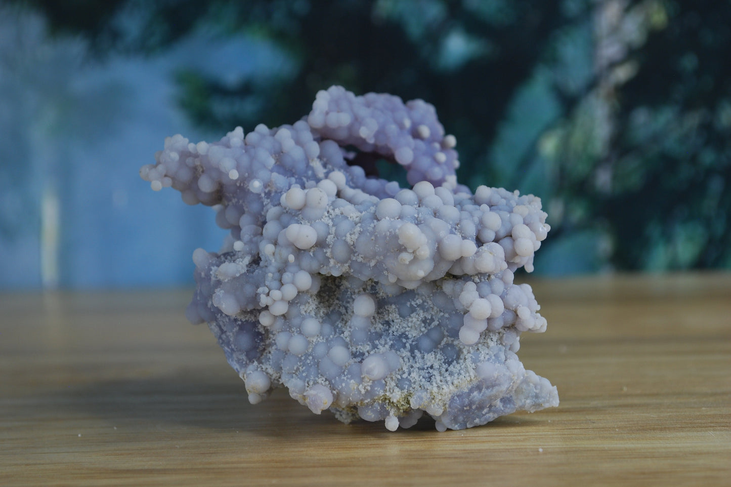 Grape Agate / Botryoidal Purple Chalcedony - J