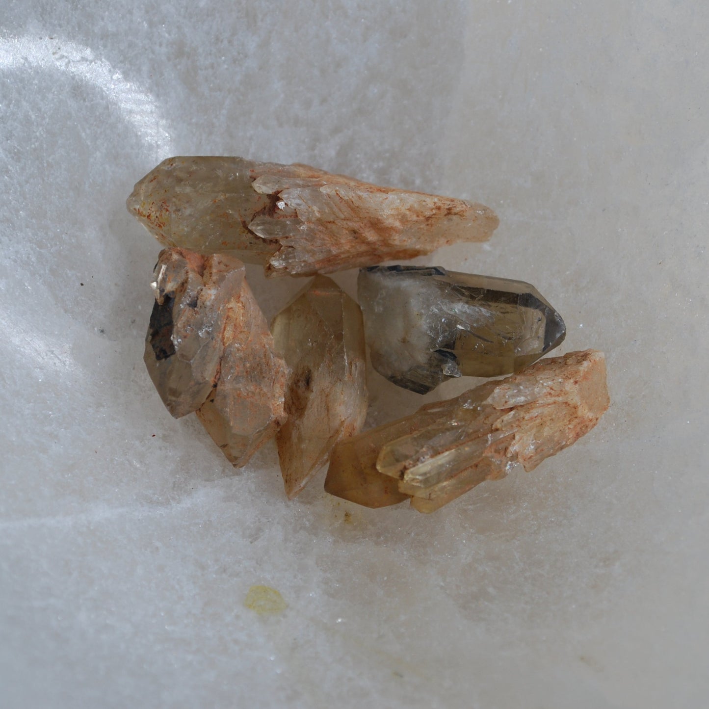 Congo Citrine - .75" - 1.5"