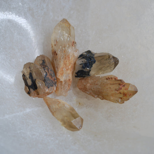 Congo Citrine - .75" - 1.5"