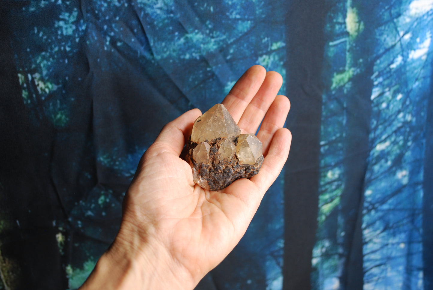 Congo Citrine - W