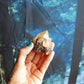 Congo Citrine - W