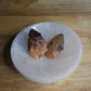 Congo Citrine - BB