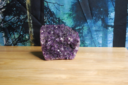 Amethyst Cluster - B