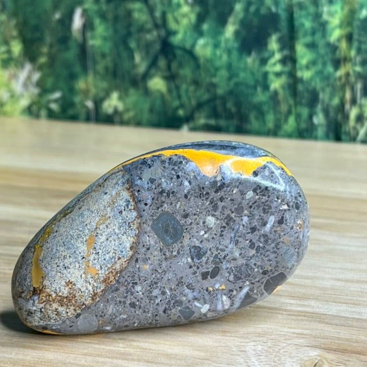 Bumblebee Jasper Freeform - E