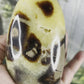 Septarian Free Forms - Standing, Polished