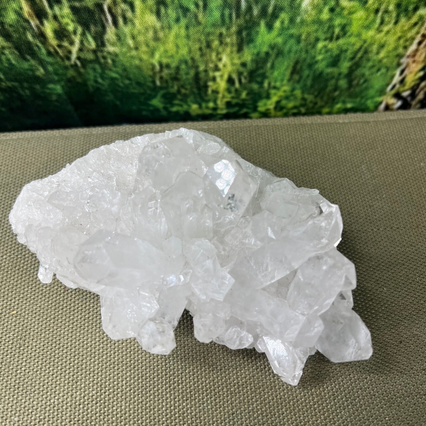 Clear Quartz - Cluster - Medium