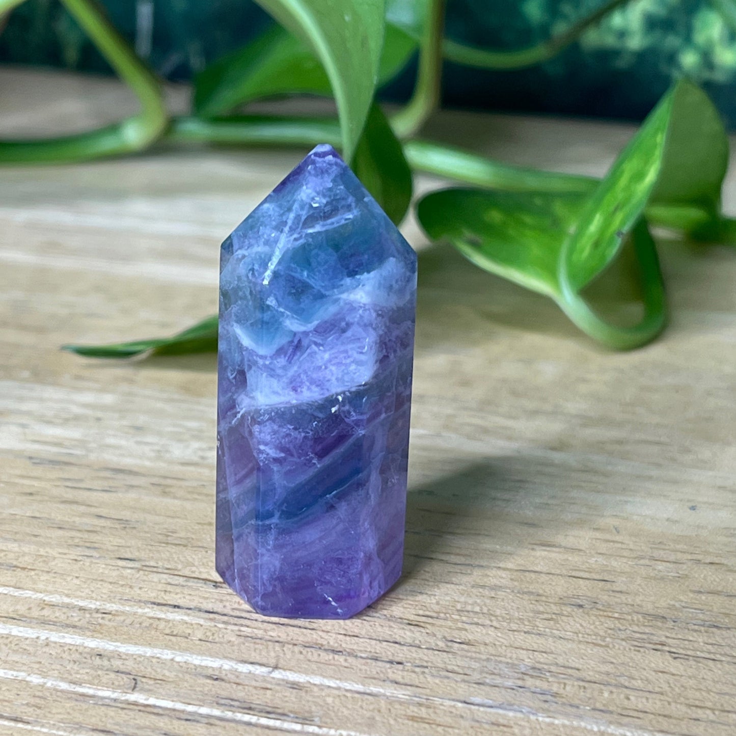 Fluorite Points - Small