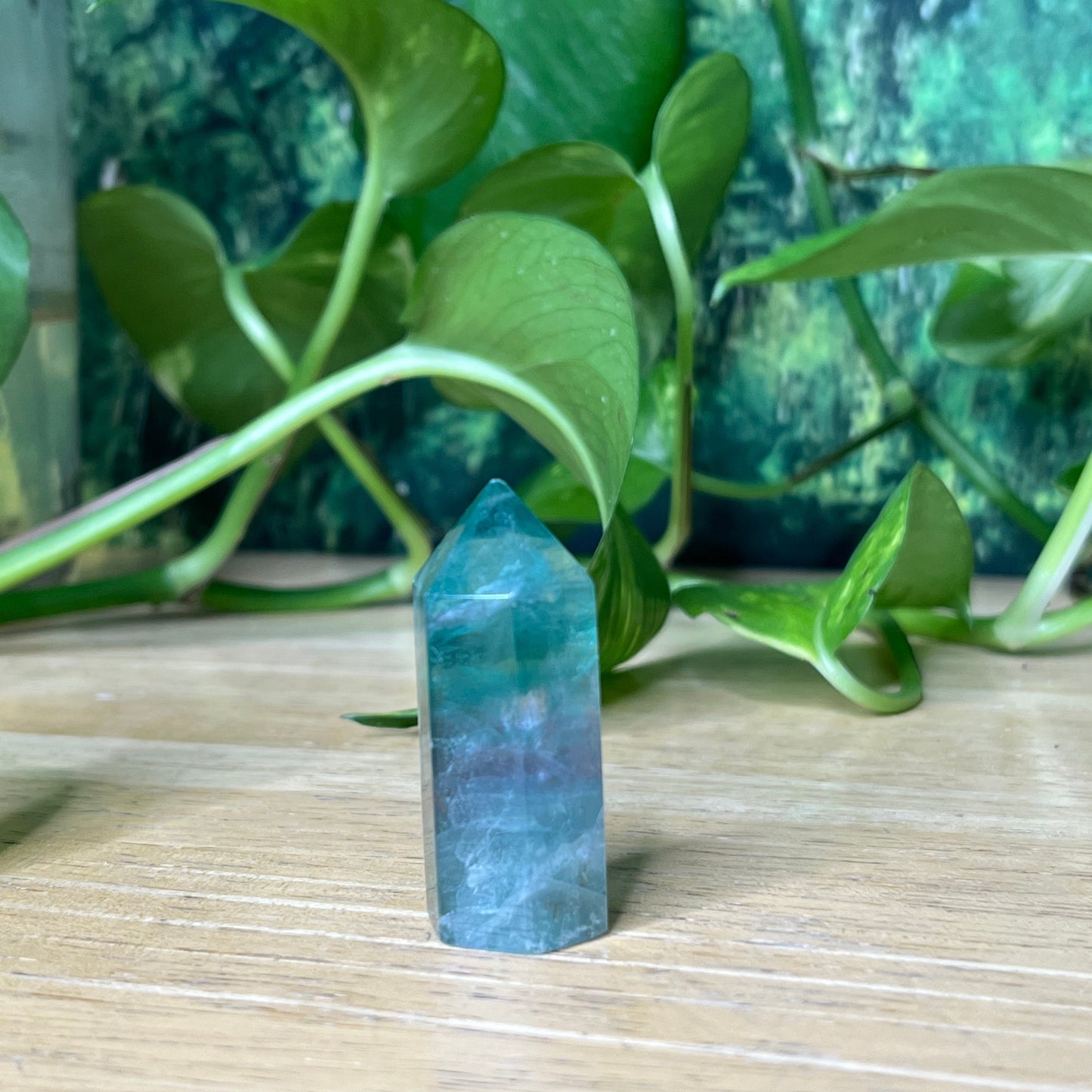 Fluorite Points - Small