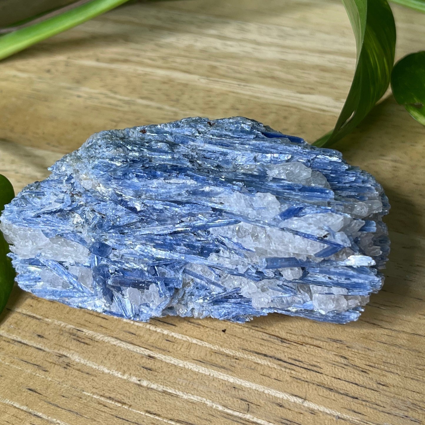 Blue Kyanite - B