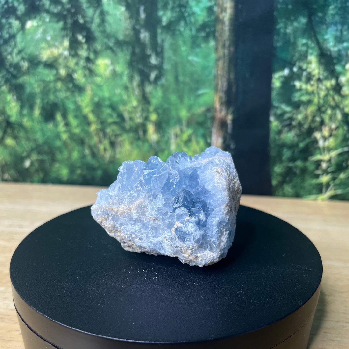 Celestite Cluster - F