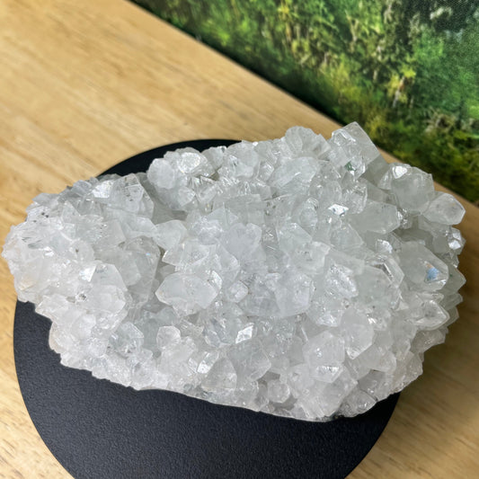 Apophyllite Jumbo Cluster - C