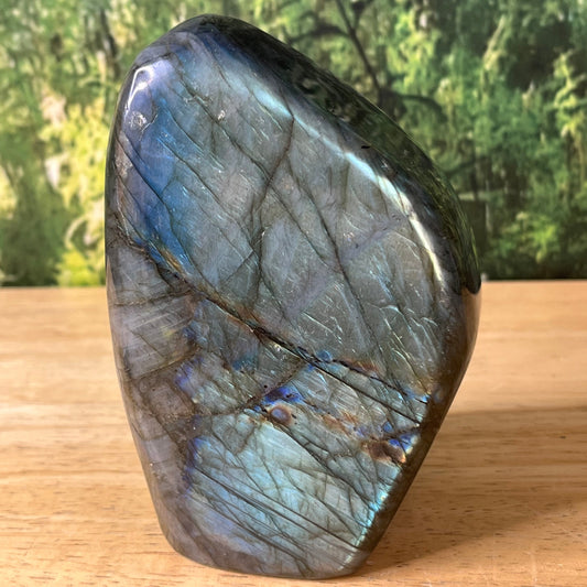 Labradorite - Polished - F