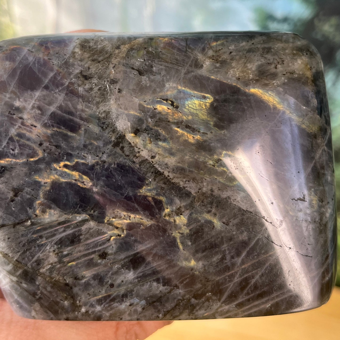 Labradorite - Polished - D