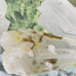 Clear Quartz - Points Low-Grade