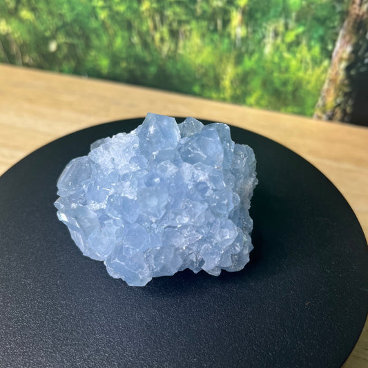 Celestite Cluster - D