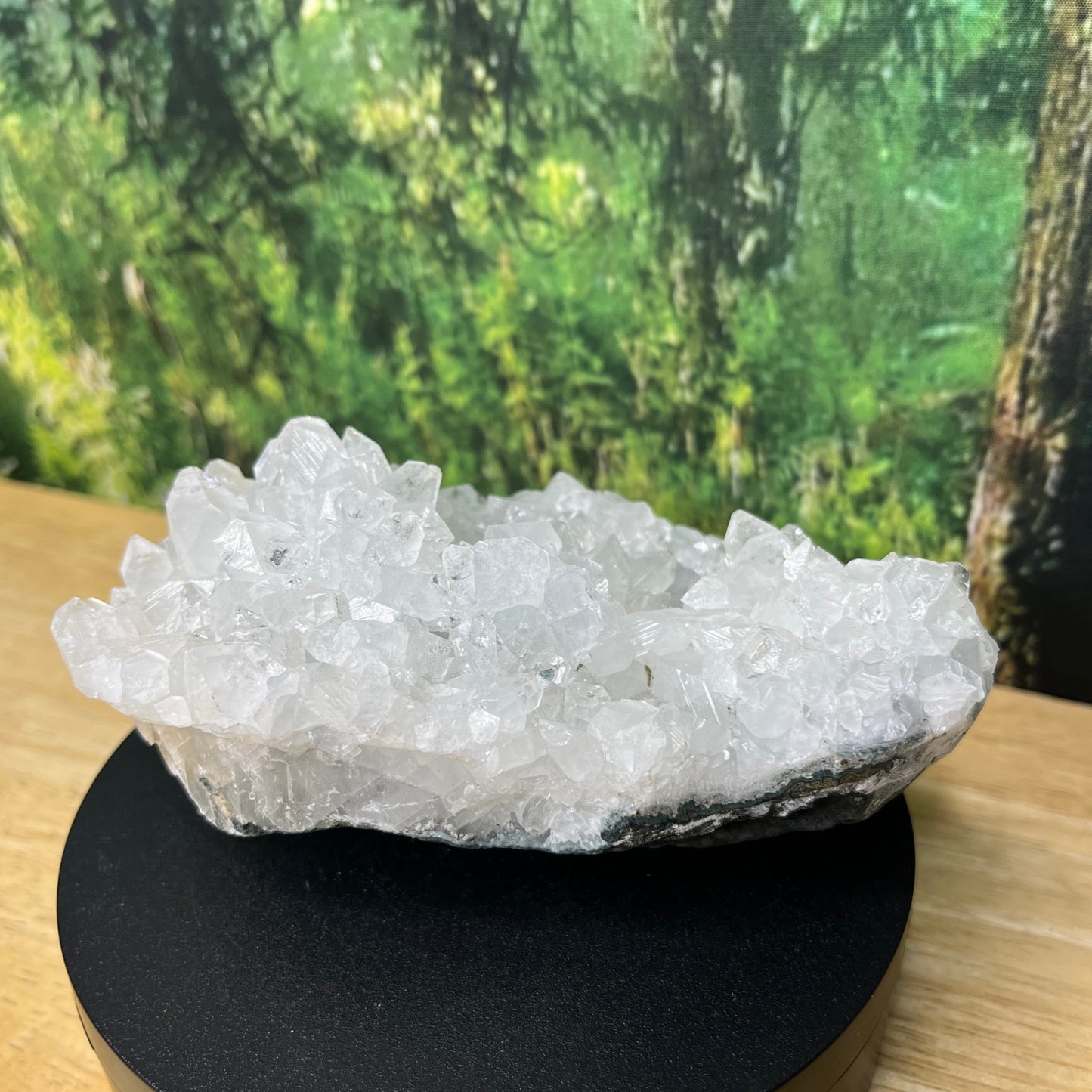 Apophyllite Jumbo Cluster - C