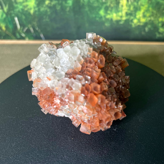 Aragonite