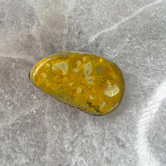 Bumblebee Jasper