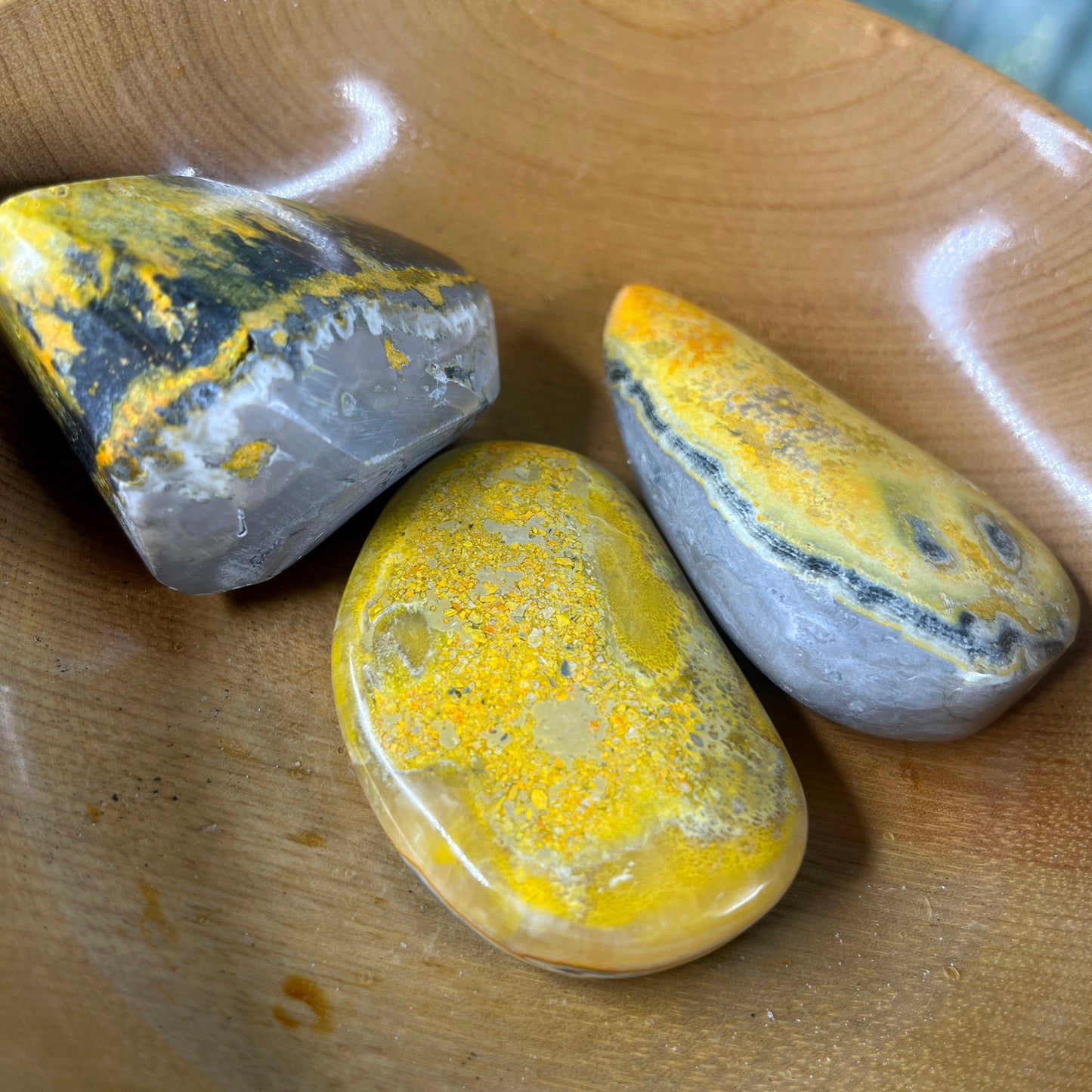 Bumblebee Jasper - Large