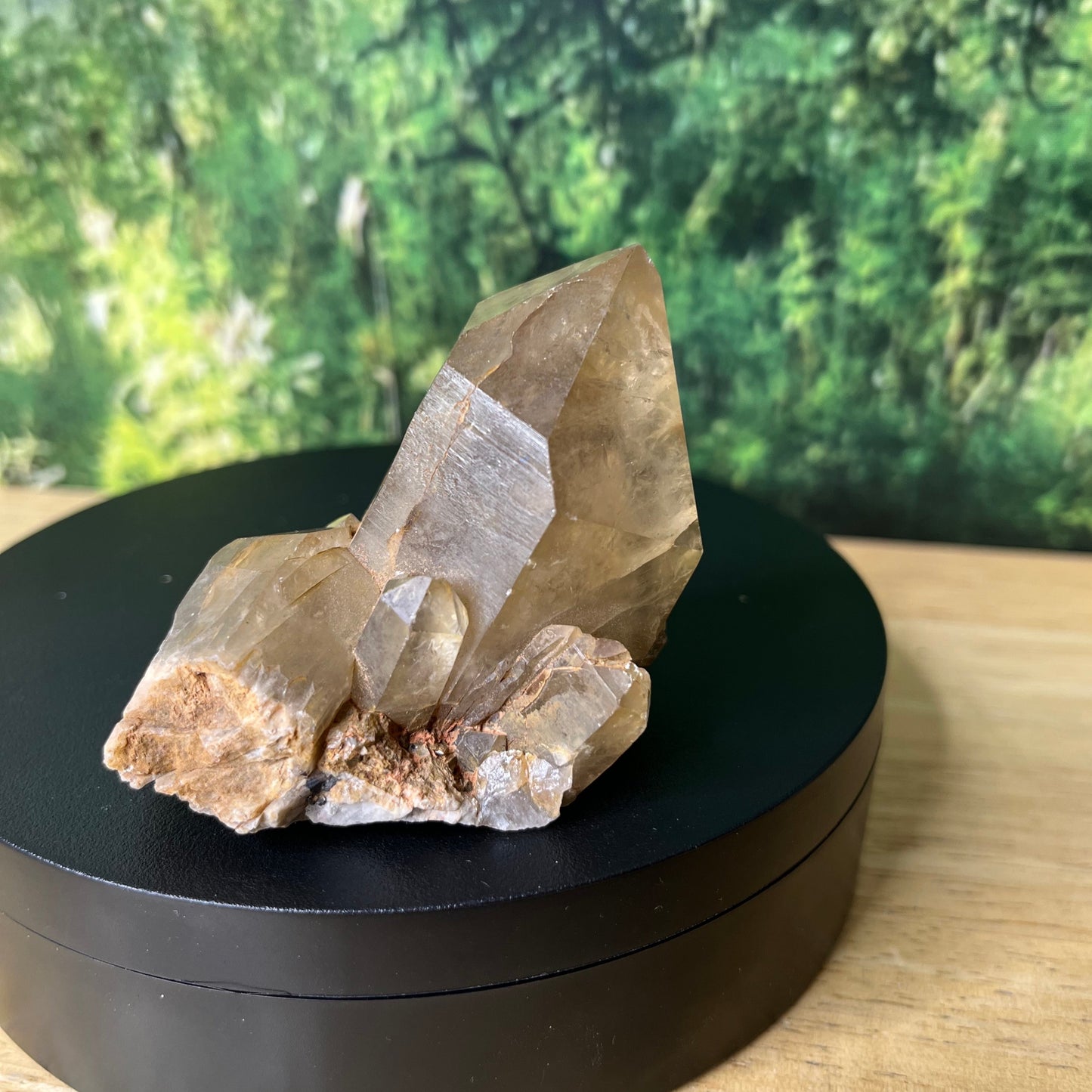 Congo Citrine - K