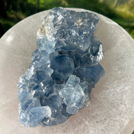 Celestite Clusters - C