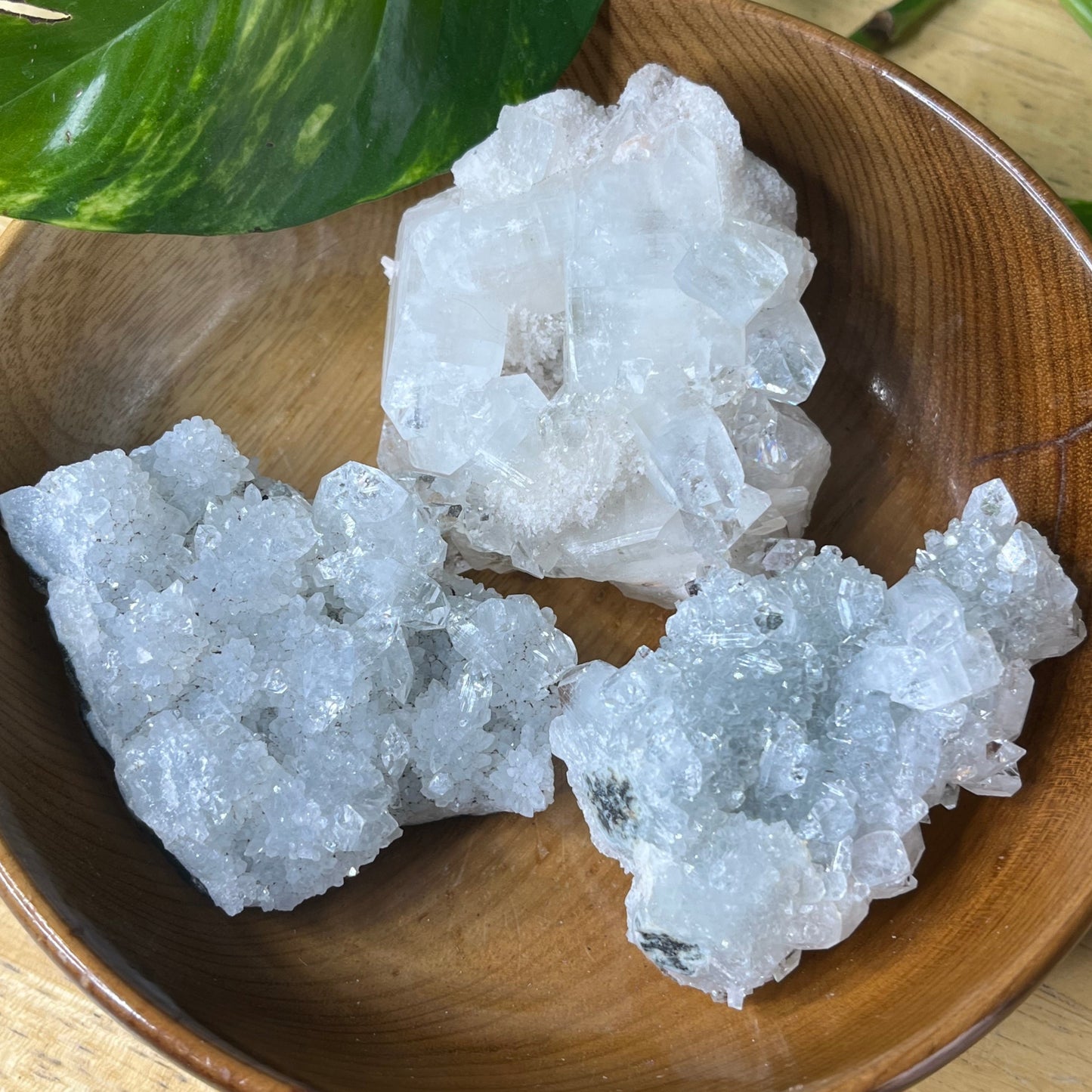 Apophyllite - Large Clusters