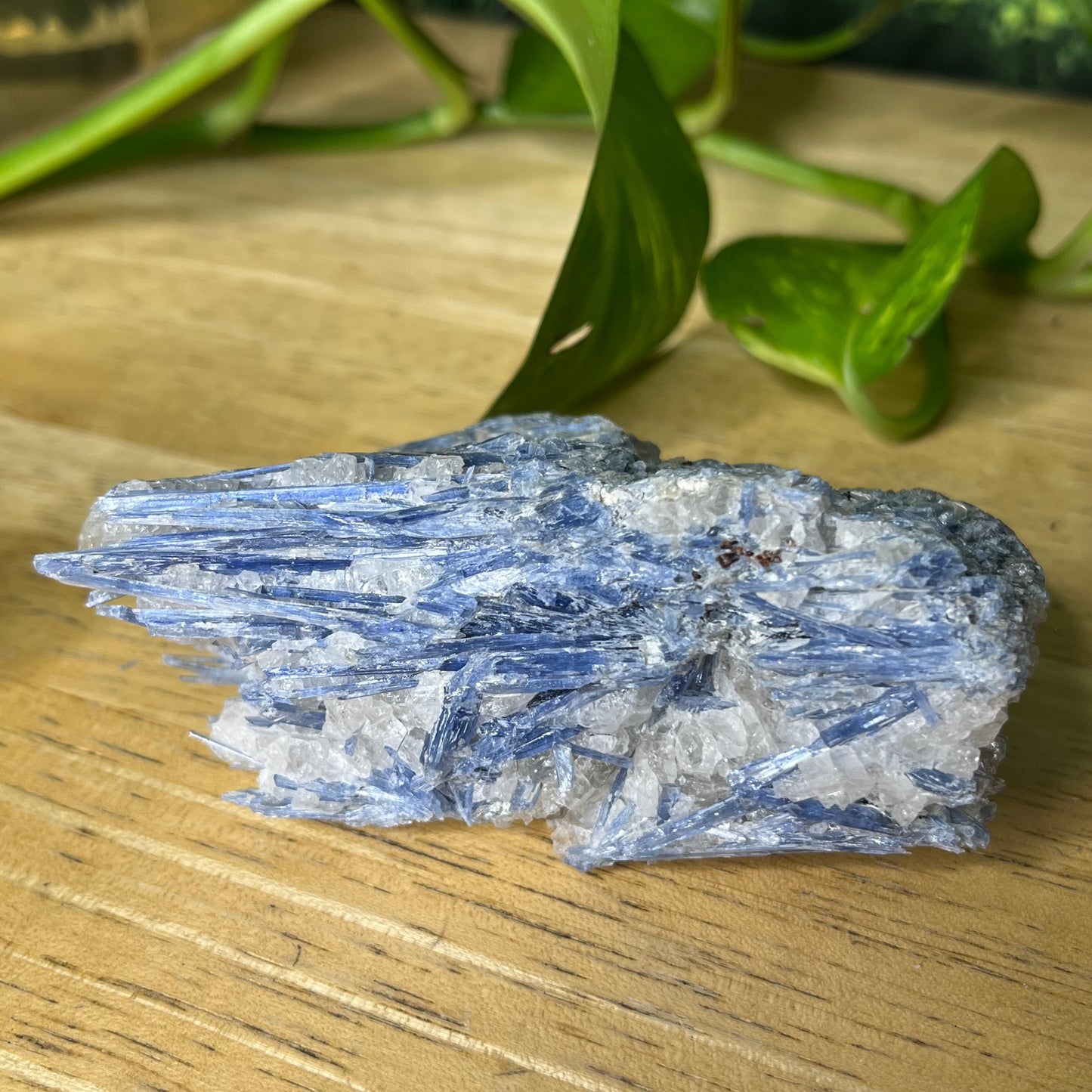 Blue Kyanite - B