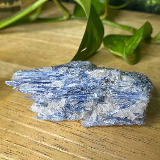 Blue Kyanite - B