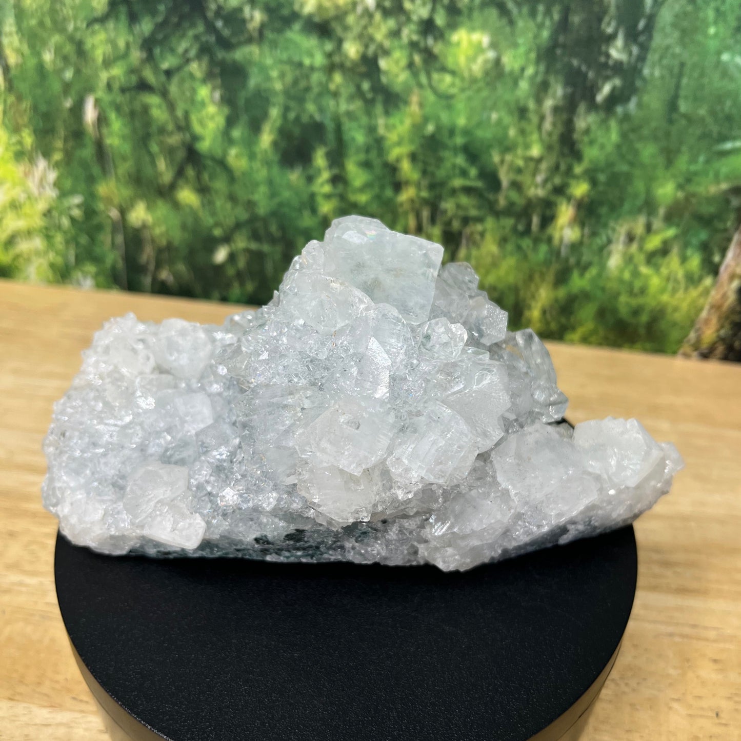 Apophyllite - Jumbo-Cluster- A