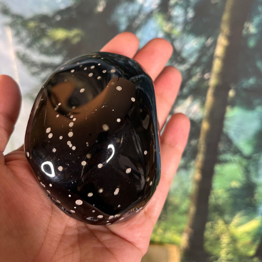 Snowflake Obsidian Polished Free-Forms